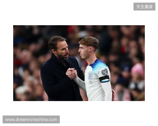 图赫尔谈10号位:一阶段考察帕尔默&福登;二阶段贝林&罗杰斯